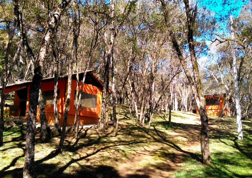 Churrasqueiras